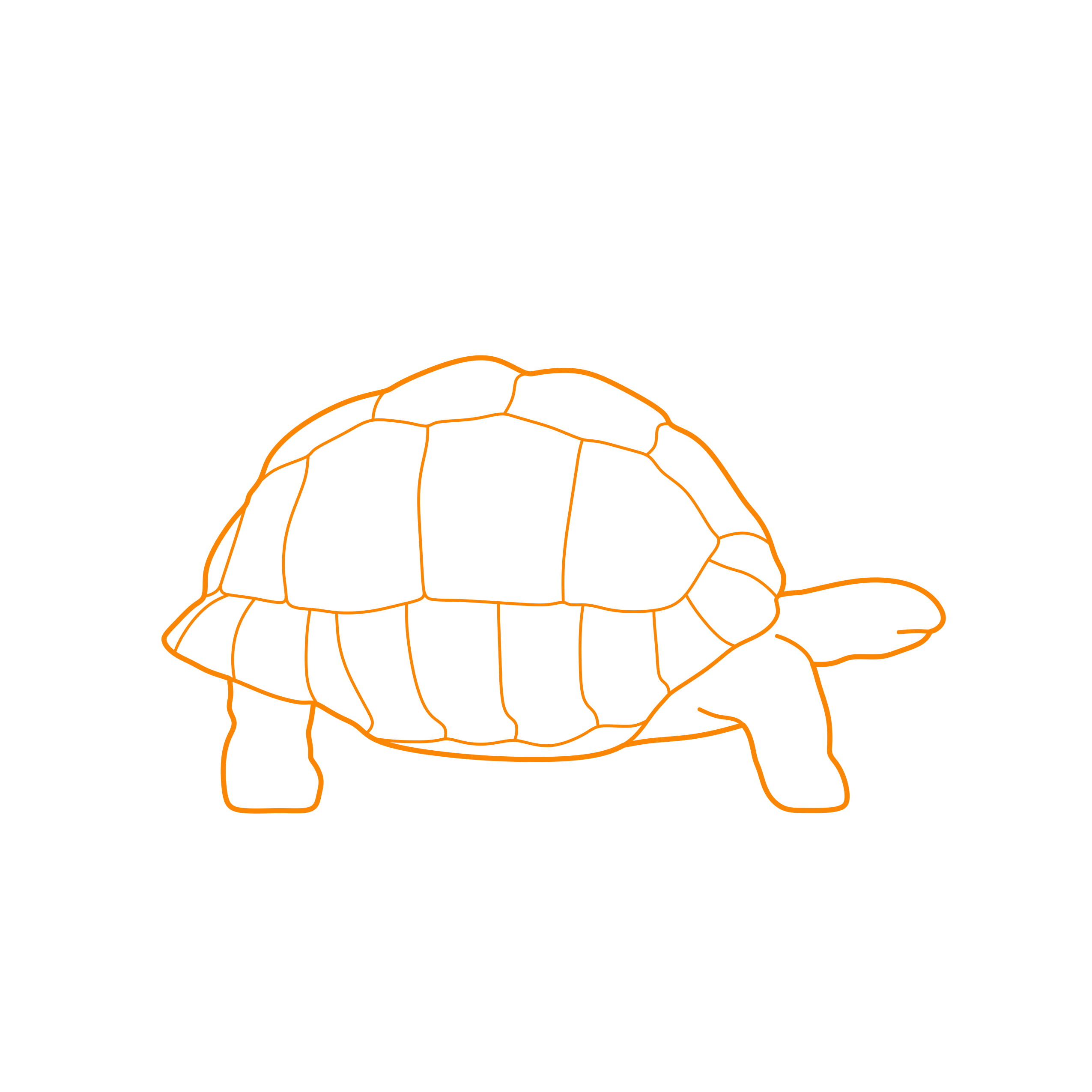 Animals Galapagos Giant Tortoise Outline Icon Svg Set Free Vectors